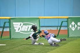 解析亚利桑那响尾蛇的核心阵型灵活性